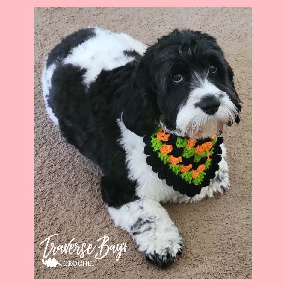 Crochet Granny Dog Bandana Pattern