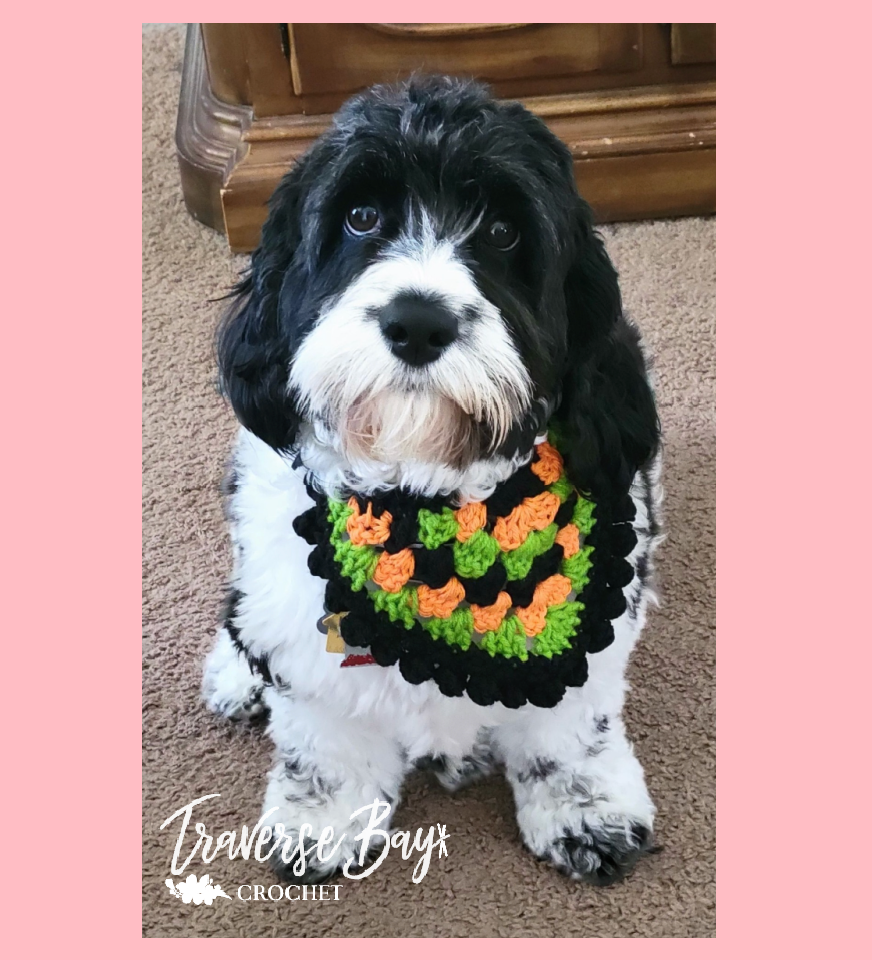 Crochet Granny Dog Bandana Pattern