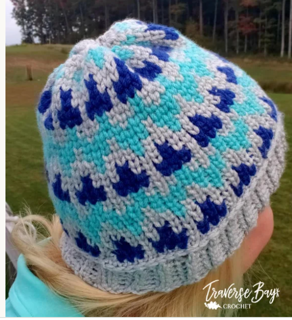 Crochet Tapestry Beanie Pattern