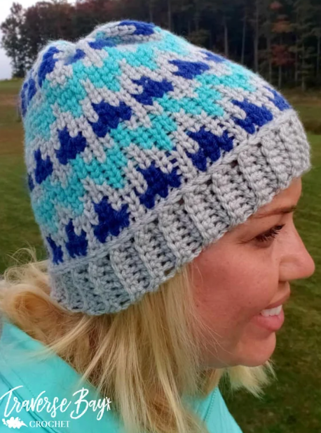 Crochet Tapestry Beanie Pattern